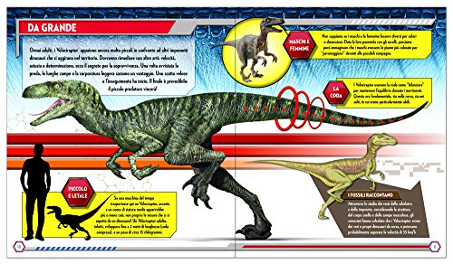 I Grandi Predatori Jurassic World Ediz Illustrata Con Puzzle Turtleback 31 Gen 2016 0 0
