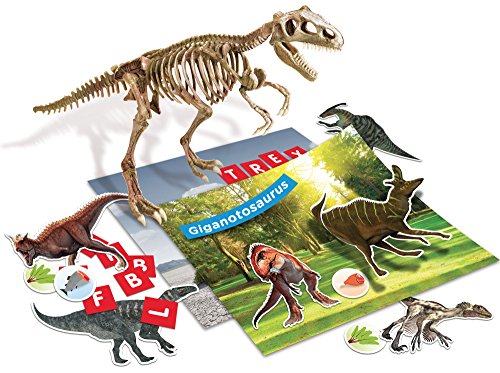 Lisciani Giochi 59775 Gioco Im A Genius Dino 100 Stickers T Tex 0 0