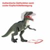 Hsp Himoto Dinosauro Telecomandato T Rex Grande 50 Cm Funzione Deviazione Effetti Sonori E Luminosi Con Telecomando 0 0