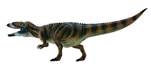 Carcharodontosaurus Figurina Lungo 33 Cm Alto 11 Cm 0