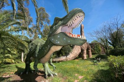 Museo Dinosauri: i dinosauri più vicini a te!