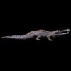 Sarcosuchus Collecta Cod 88334 0 4