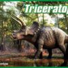 Science4you Puzzle Libro Triceratopo Gioco Educativo E Scientifico 0 0