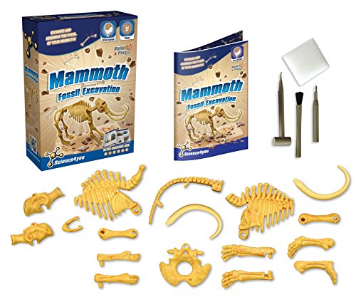 Science4you Scavo Fossile Mammut 481463 0 2