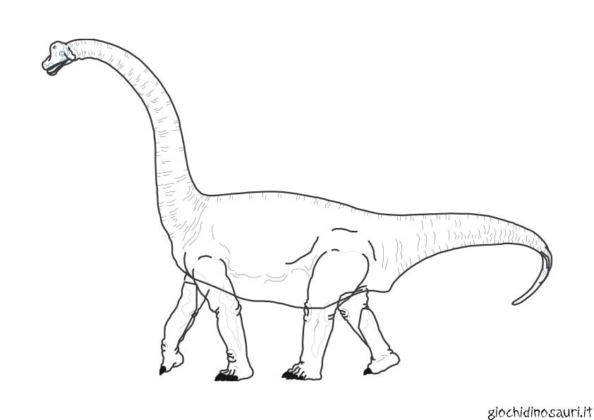 Brachiosauro Immagini Da Colorare