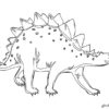 Dinosauro Stegosauro Stampa Colora