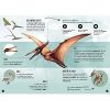 Lera Dei Dinosauri Pteranodonte 3d Ediz A Colori Con Gadget Italiano Rilegatura Sconosciuta 31 Ott 2019 0 1