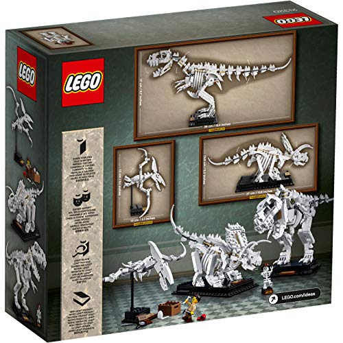 Lego Ideas Fossili Di Dinosauro 21320 0 0