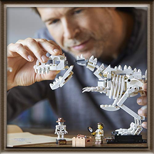 Lego Ideas Fossili Di Dinosauro 21320 0 4