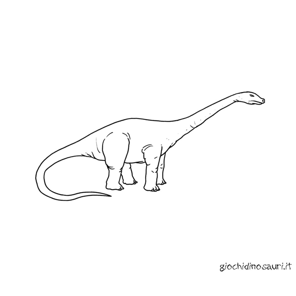 Disegni Di Brontosauro Da Colorare Cover