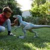 Jurassic World Dino Rivals Velociraptor Blu Dinosauro Articolato Da 37 Cm Giocattolo Per Bambini 3anni Gct93 0 0