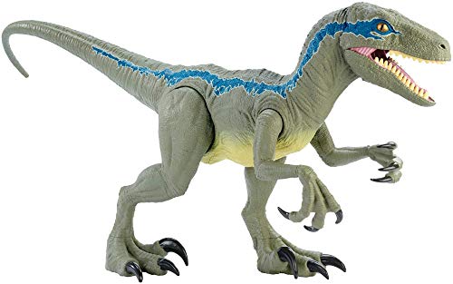 Jurassic World Dino Rivals Velociraptor Blu Dinosauro Articolato Da 37 Cm Giocattolo Per Bambini 3anni Gct93 0