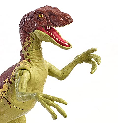 Jurassic World Dinosauro Velociraptor Forza Bruta Articolato Con Colpo Singolo Giocattolo Per Bambini 4anni Gwn32 0 1